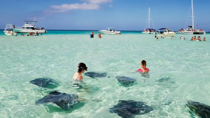 stingray-city